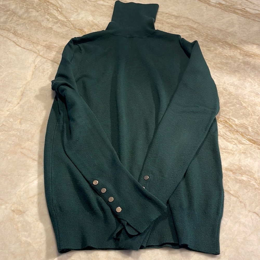 Zara medium green turtleneck